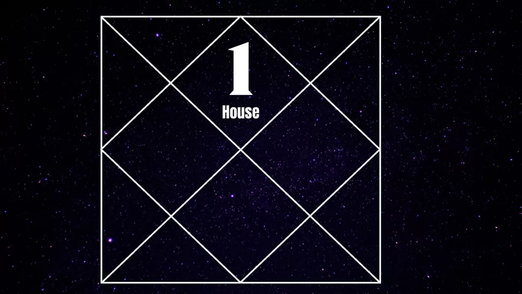 What does the 1st house in astrology represent?