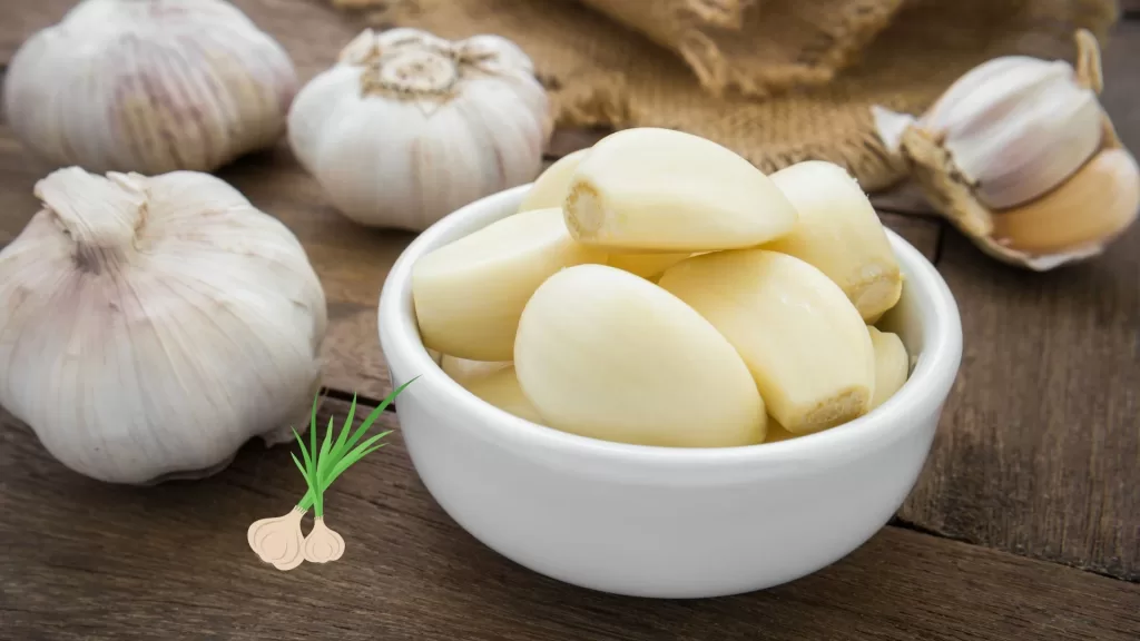 top 10 health benefits of garlic