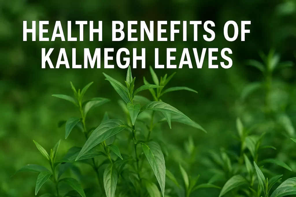 health benefits of kalmegh leaves