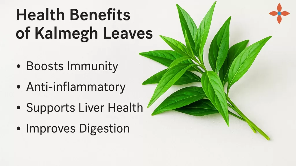 Health Benefits of Kalmegh Leaves