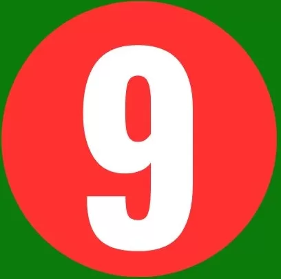 9nn Times