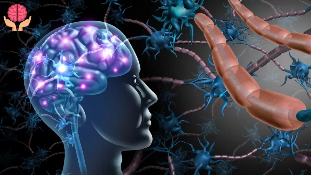 brain health benefits