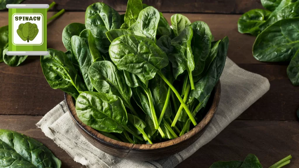 Spinach in Your Diet