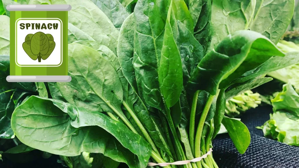 top 10 health benefits of spinach
